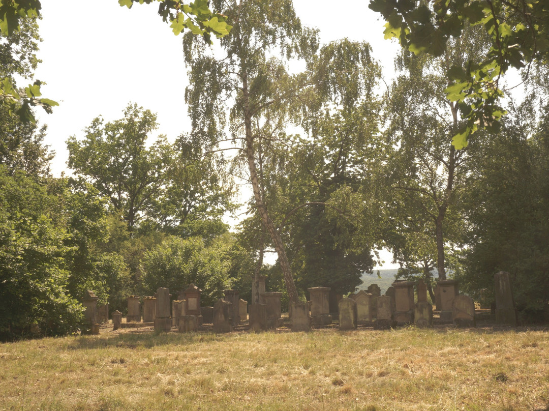 Judischer Friedhof auf dem Domberg-巴特索本海姆必去景点