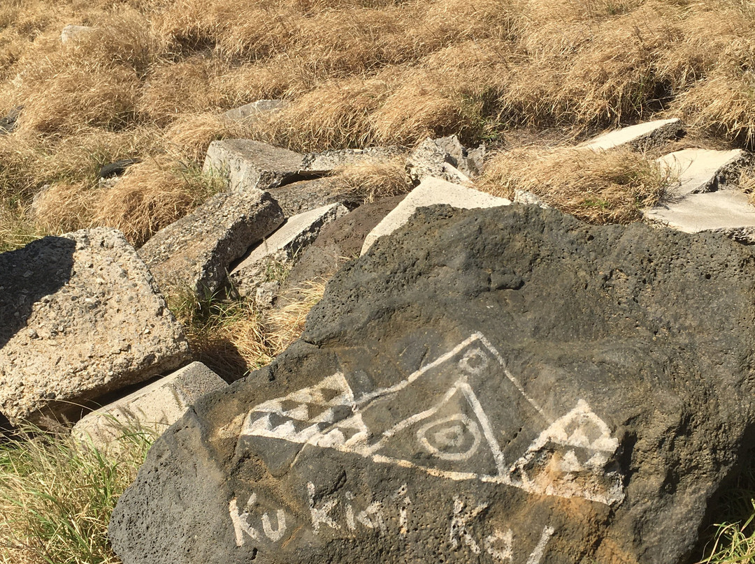 South Point Complex-纳勒胡必去景点