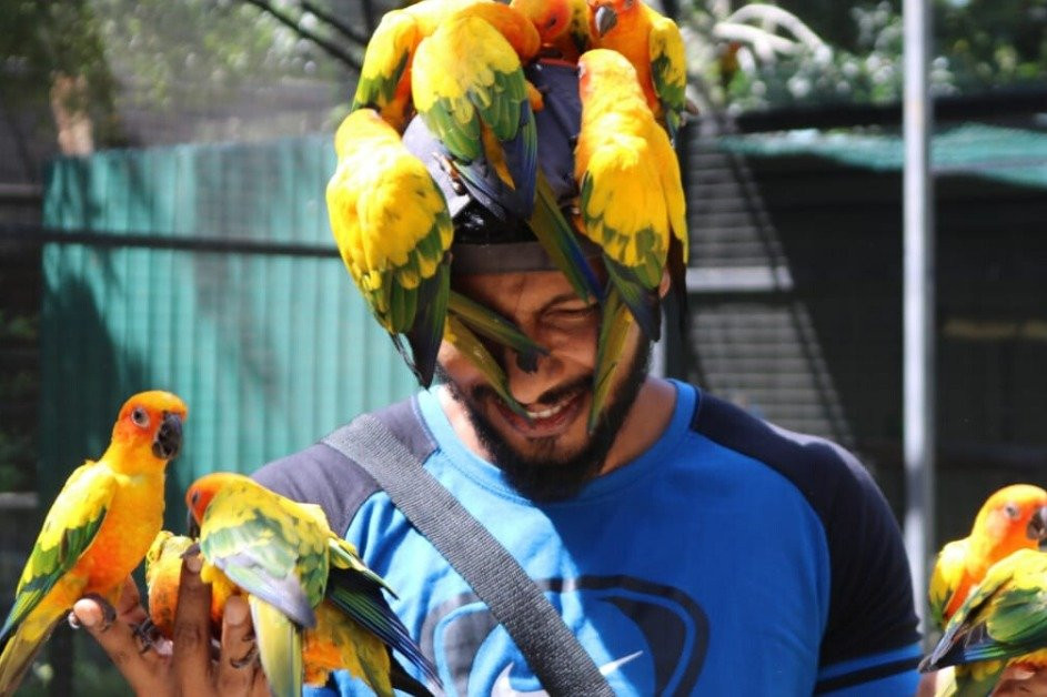 Travmo Tours-伦敦必去景点