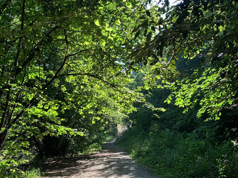 La Brague Park-比奥必去景点