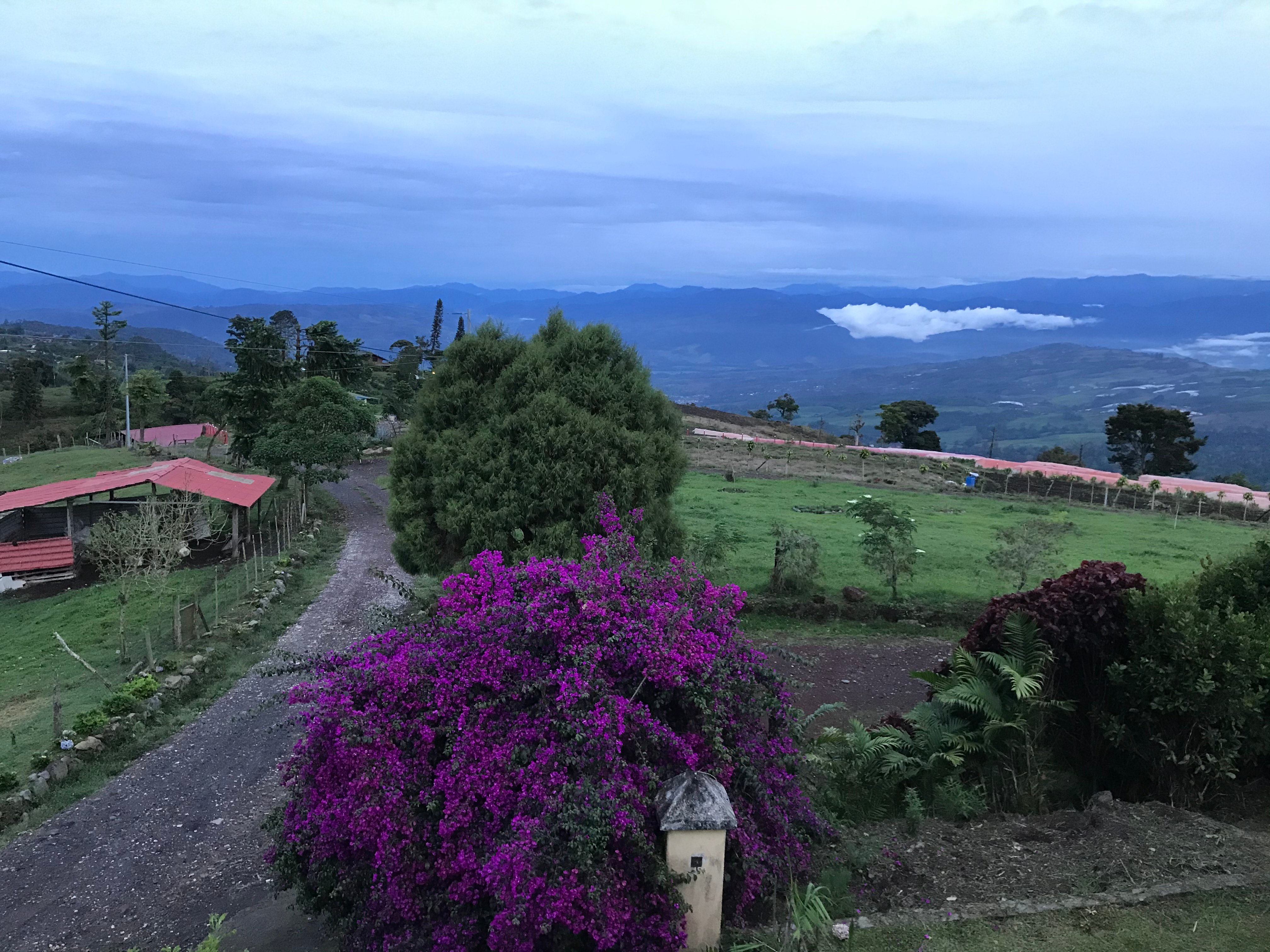 Guayabo Lodge-酒店景观