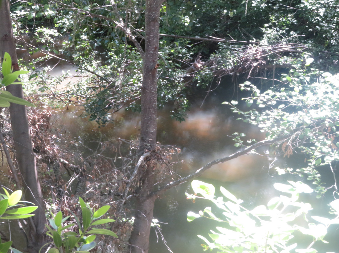 Chitactac-Adams Heritage County Park-吉尔罗伊必去景点