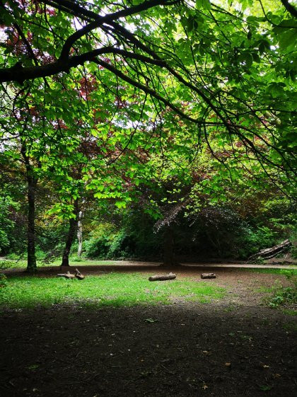 Stamford Park景点图片