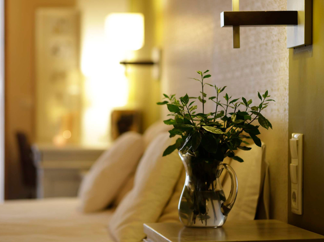 Hotel Boutique Niu de Sol主图