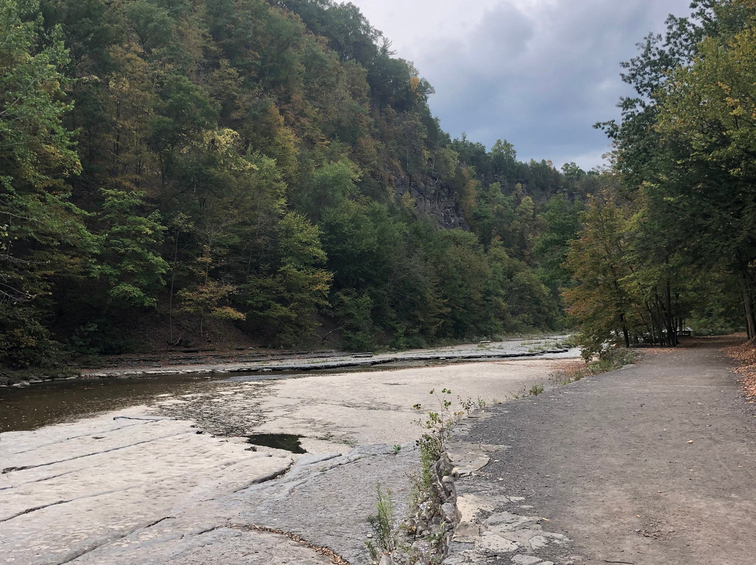 Taughannock Falls State Park景点图片