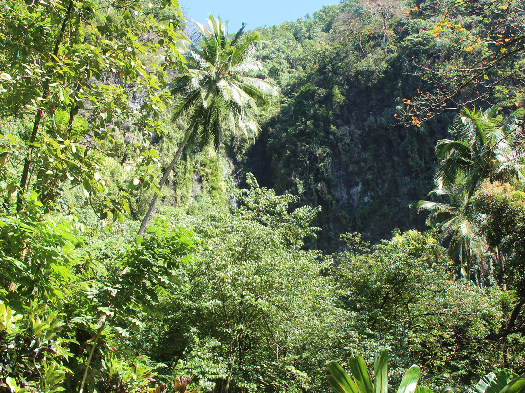 Faarumai Waterfalls-阿鲁埃必去景点