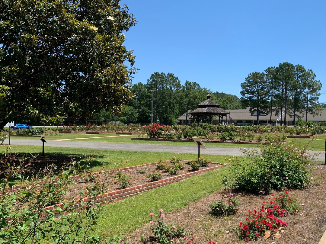 Thomasville Rose Garden景点图片
