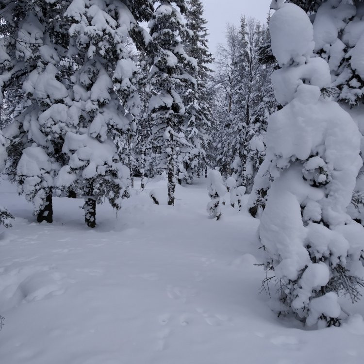 Natural Park Iremel-Beloretsk必去景点