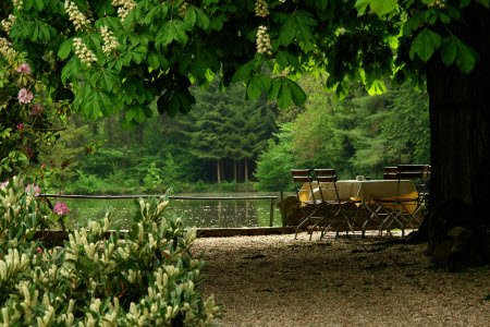 Hotel Dammenmühle主图