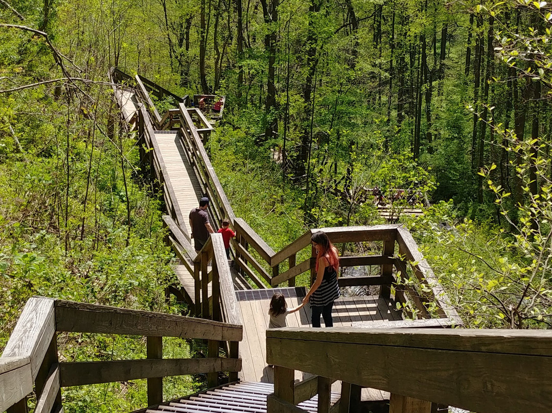 Base of the Falls Trail-道森维尔必去景点