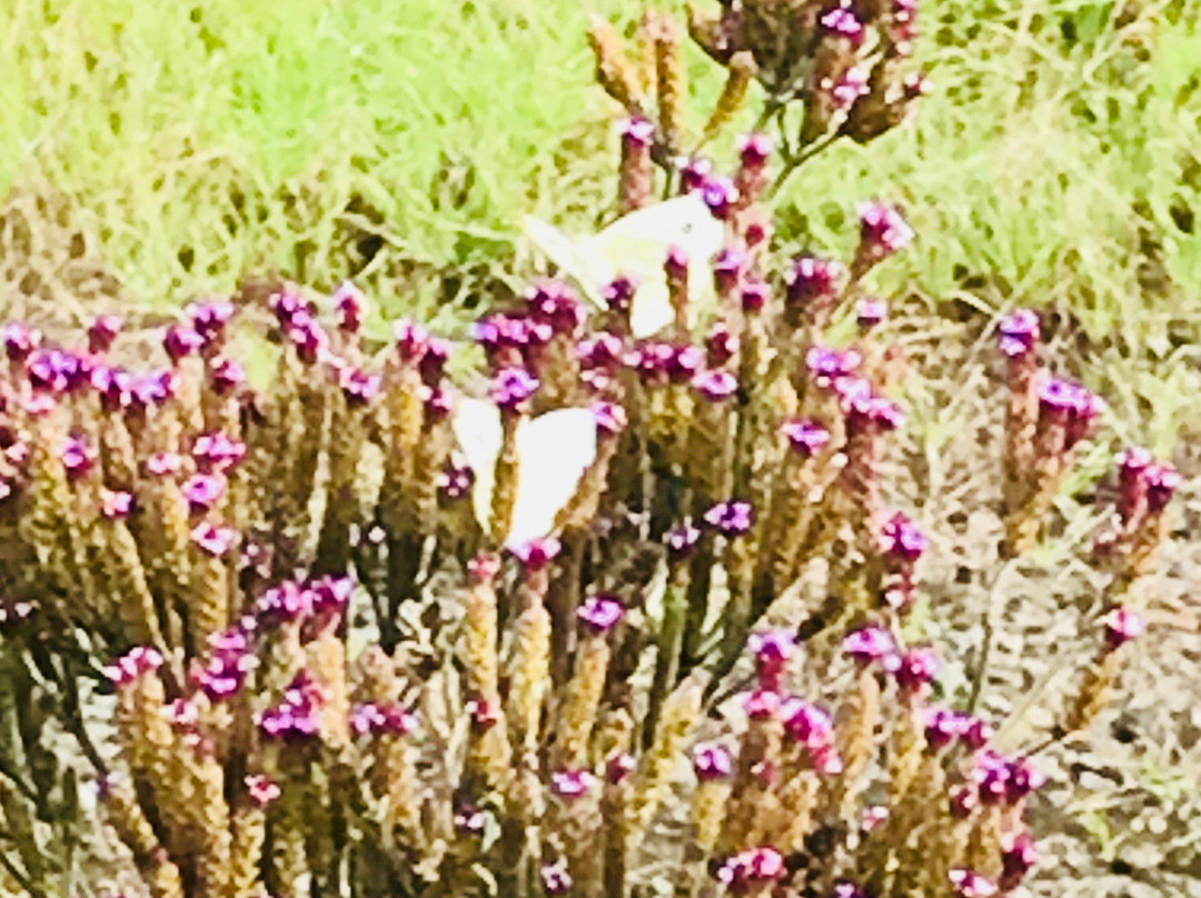 Moondarra Reservoir-Erica必去景点