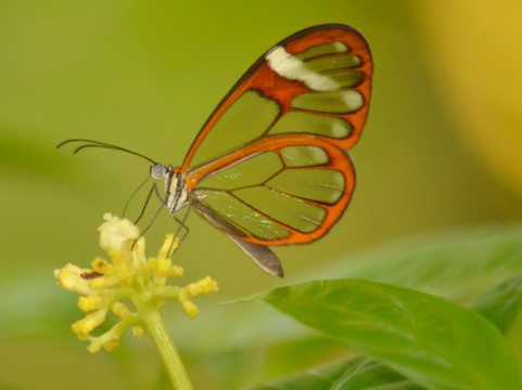 CRESCENTIA EXPEDITIONS COSTA RICA-Quesada必去景点