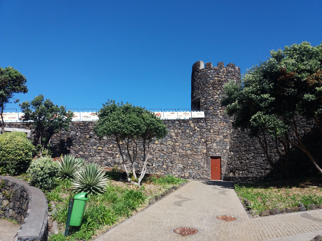 Aquario da Madeira景点图片