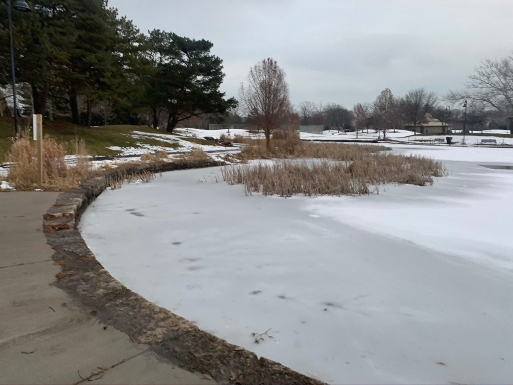 Lovelace Park-埃文斯顿必去景点