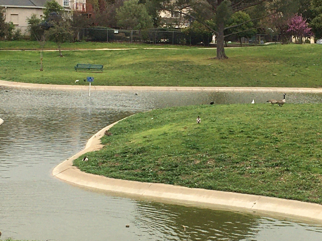 Dog Park - Morgan Hill-摩根希尔必去景点