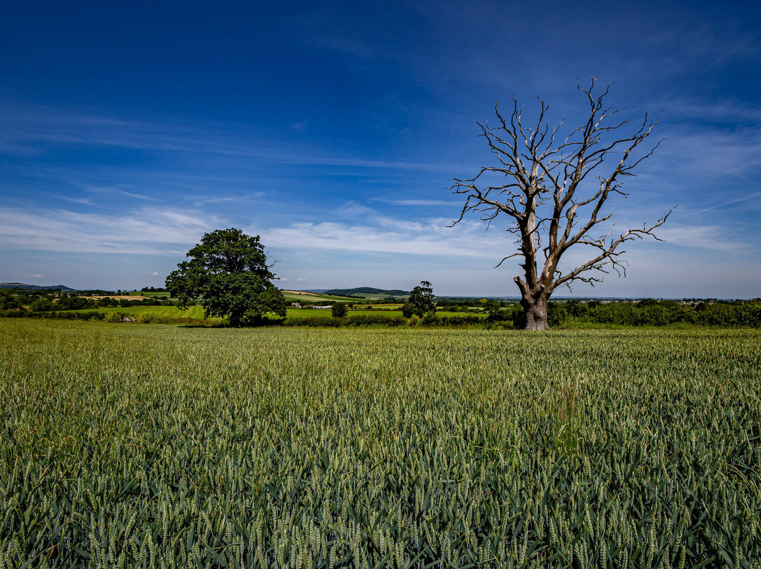 Cotswolds Way-Winchcombe必去景点