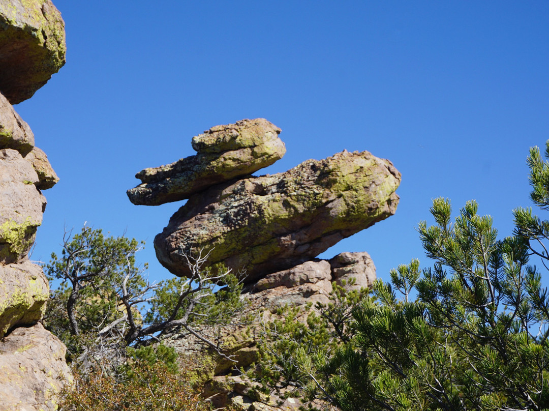 Heart of Rocks-Willcox必去景点