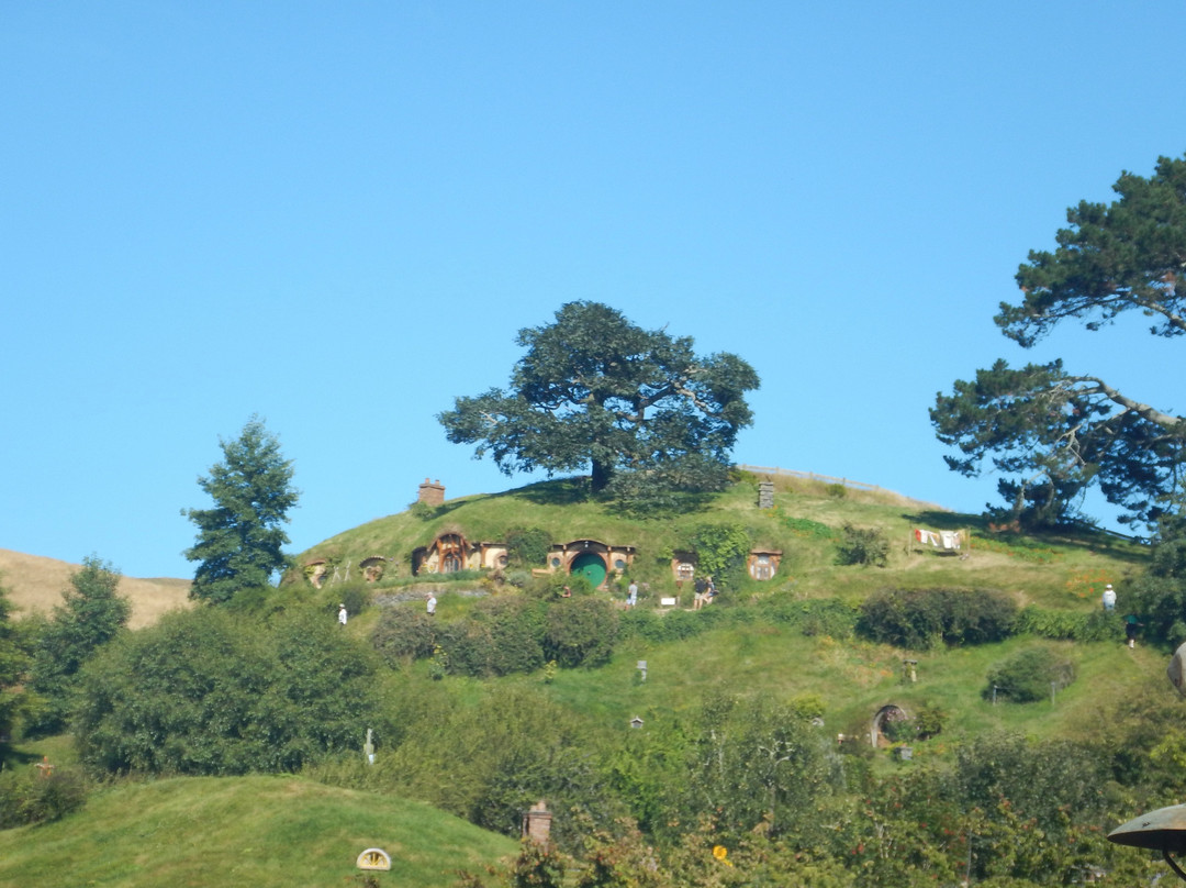 Private NZ Trips-奥克兰必去景点