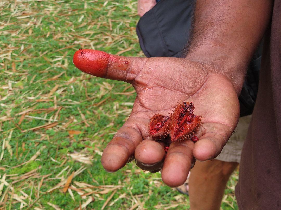 Tobago Cocoa Estate-Roxborough必去景点