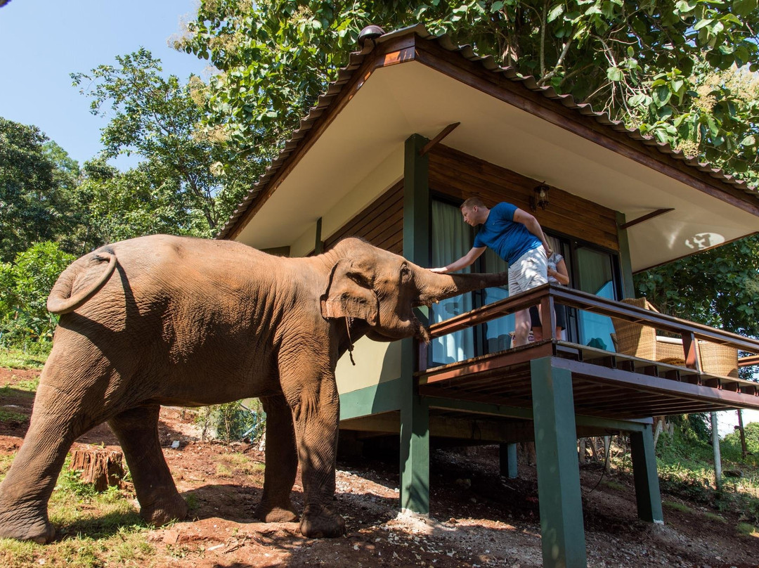 Chiang Mai Elephant Friends景点图片