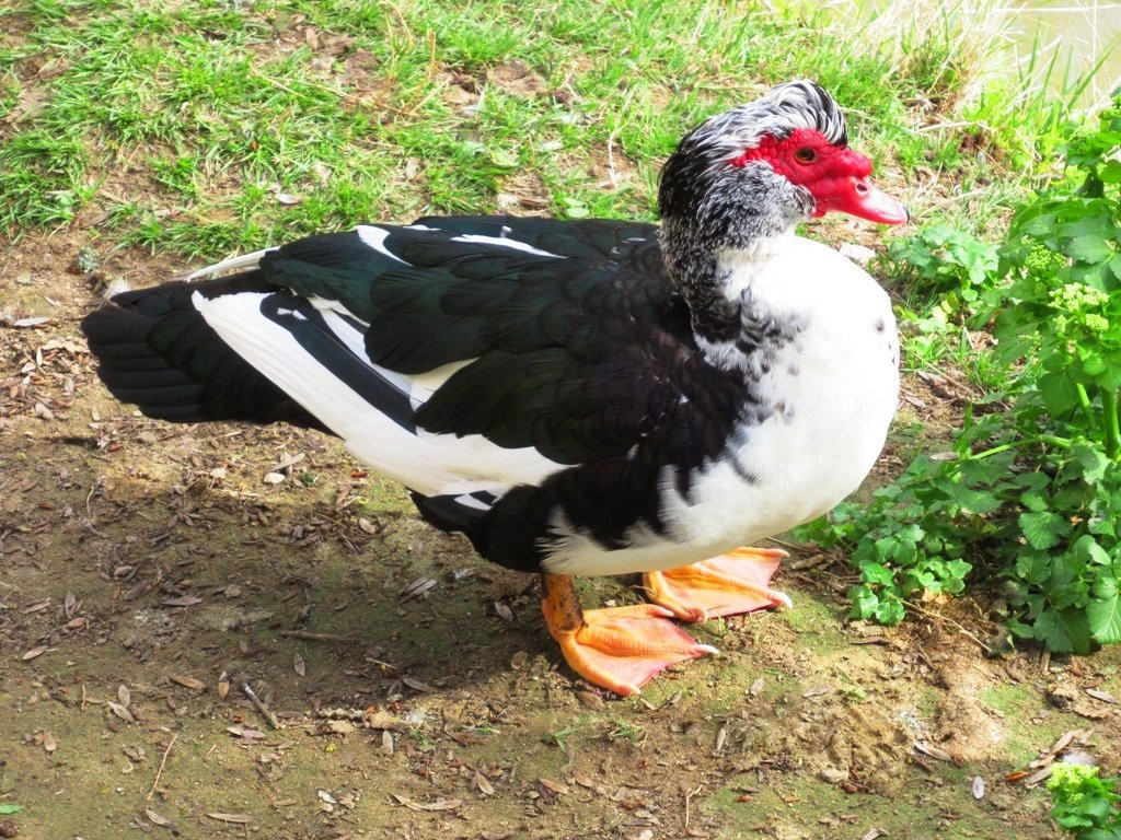 Iglesia del Santo Sepulcro-Estella必去景点