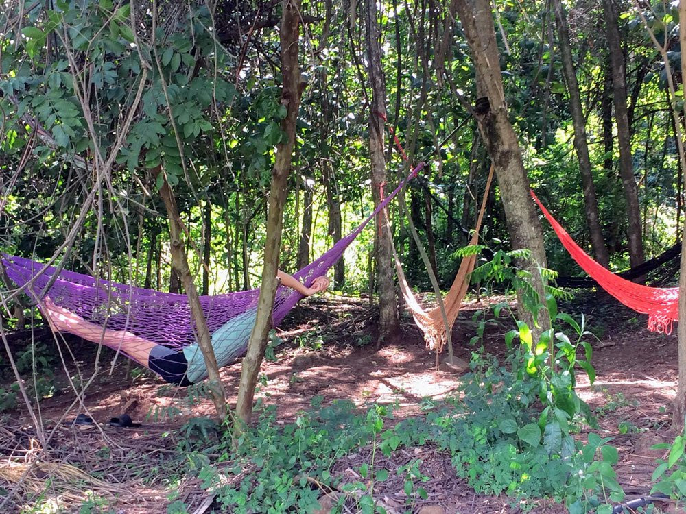 Viva Brotas Barbieri主图