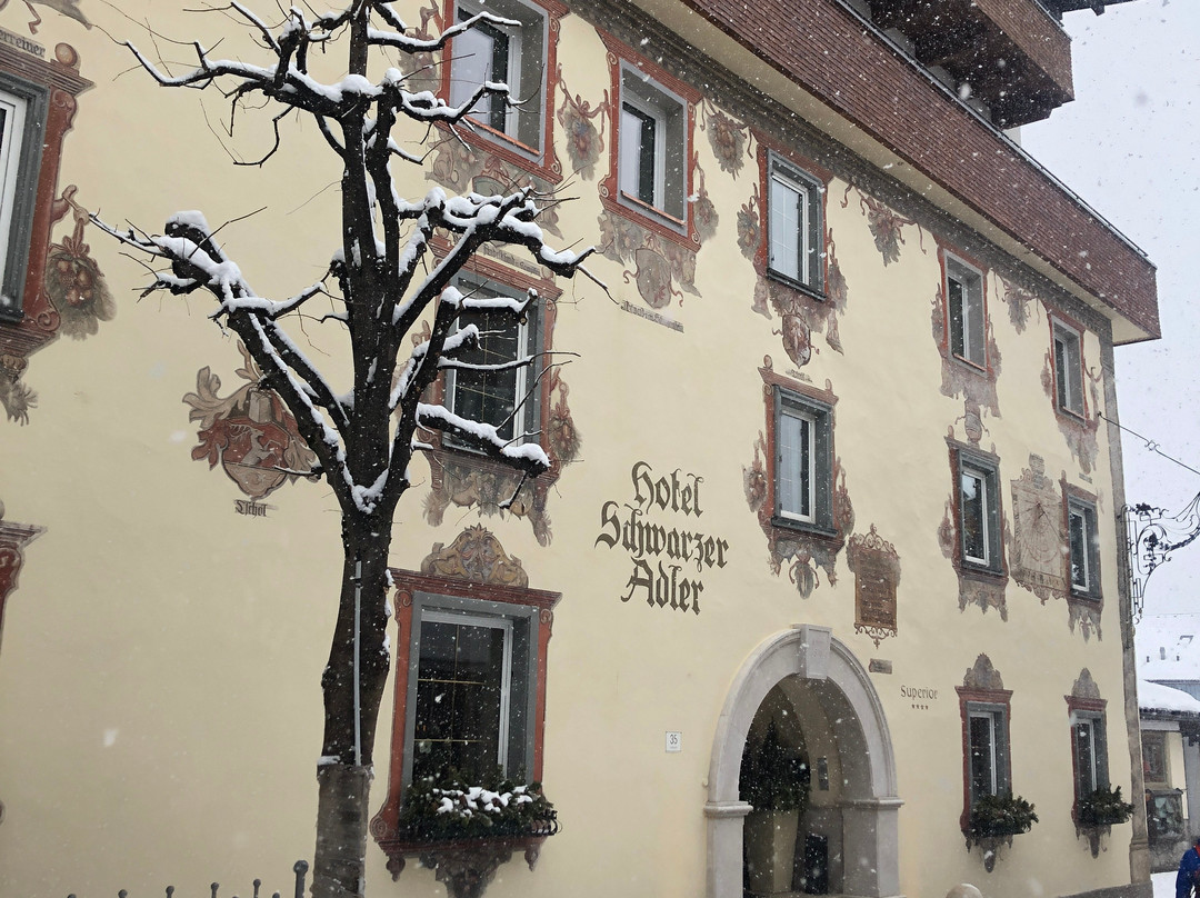Hotel Schwarzer Adler主图