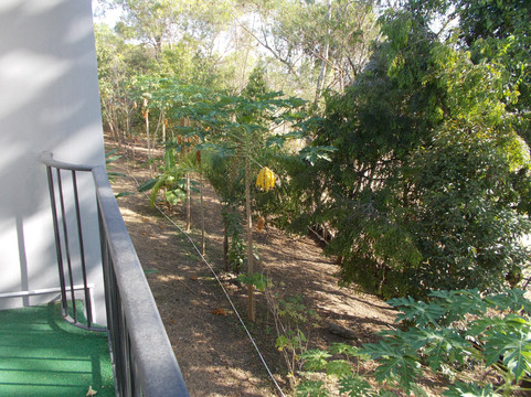 利安德机场赌场酒店主图