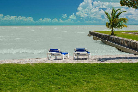 Almond Tree Hotel Resort主图