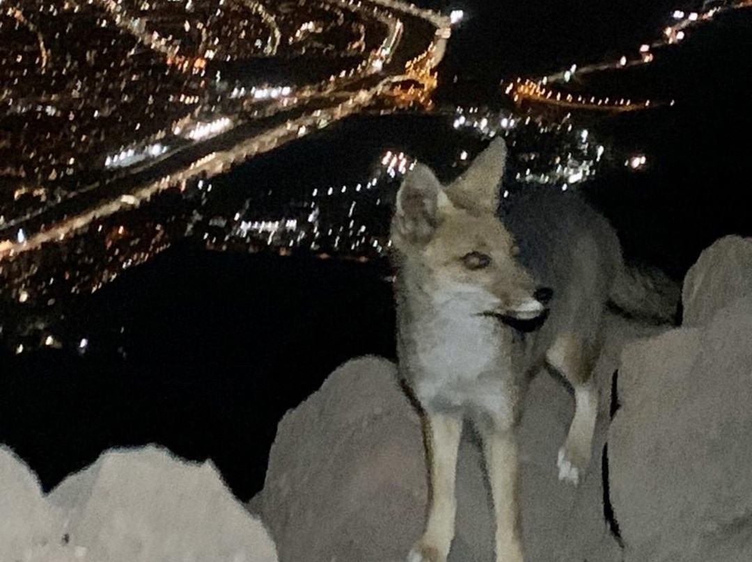 Cerro Manquehue-圣地亚哥必去景点