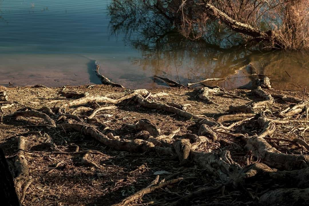 Embalse de Cubillas-Albolote必去景点