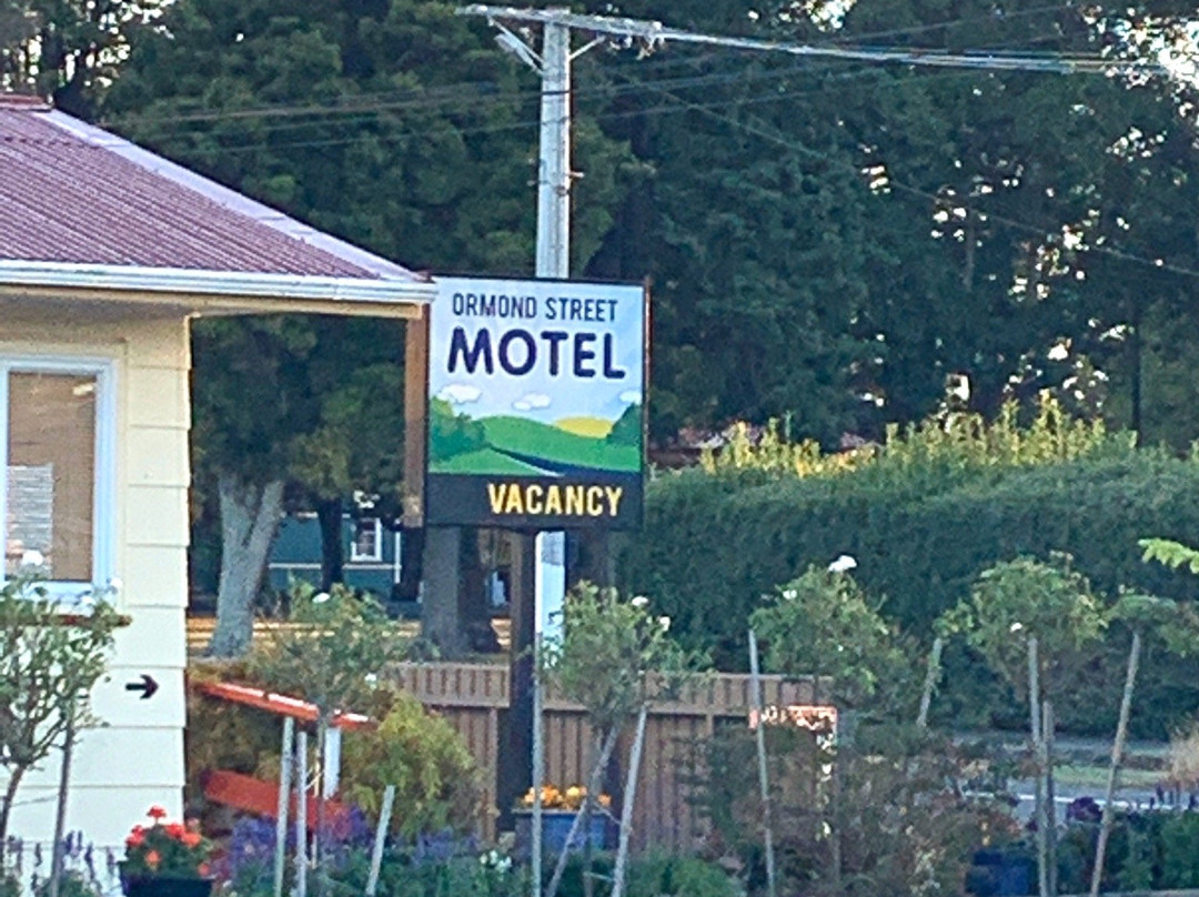 Ormond Street Motel主图