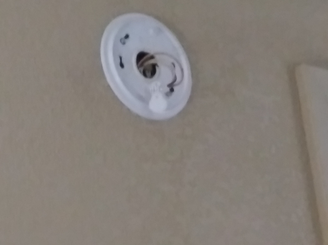 Rodeway Inn Bristol Near State Street主图