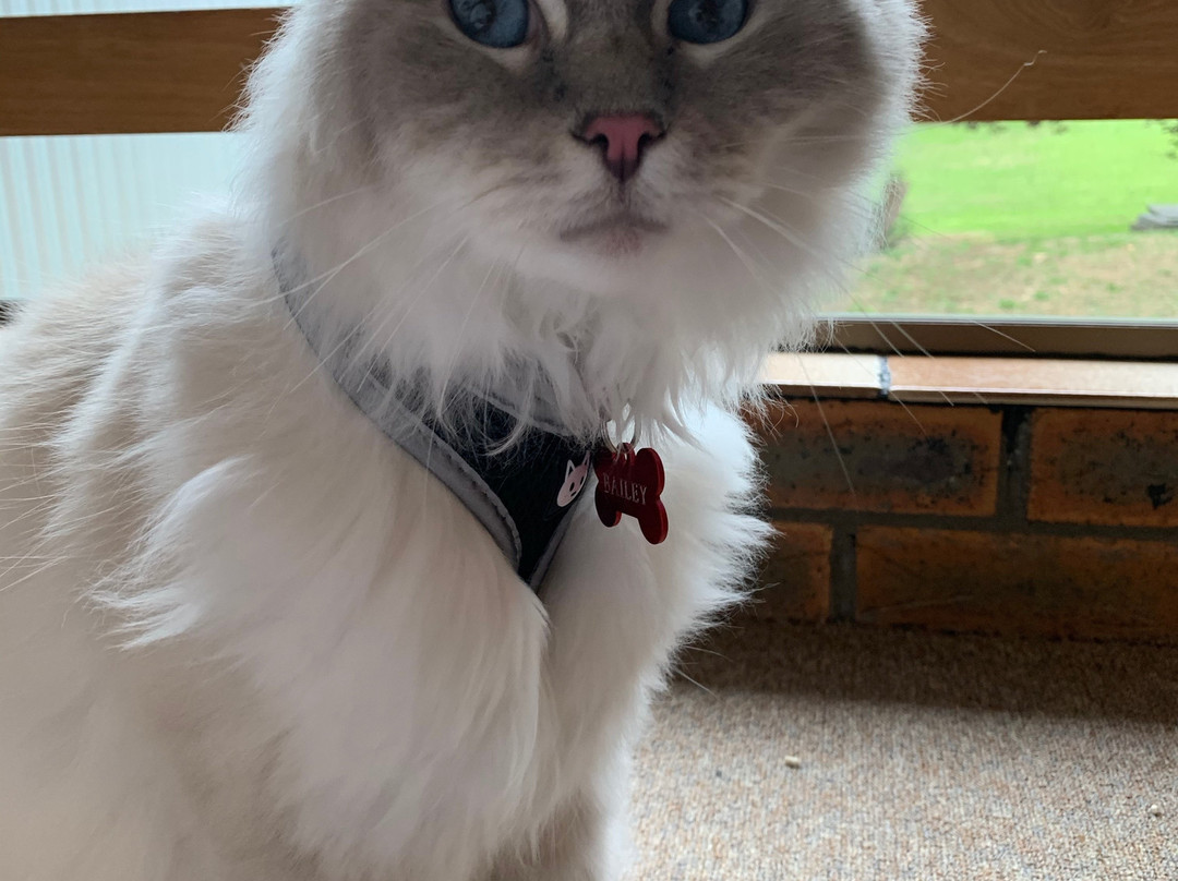 Cann River Hop Inn Motor Inn主图