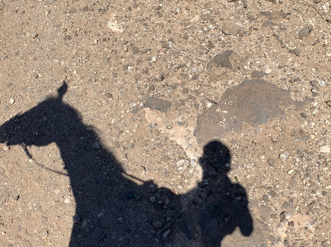 Horse Riding Tenerife-阿罗纳必去景点