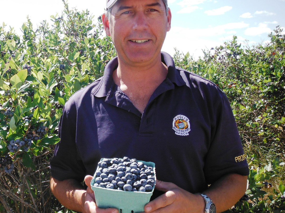 Hugli's Blueberry Ranch & Country Gift Store-Pembroke必去景点