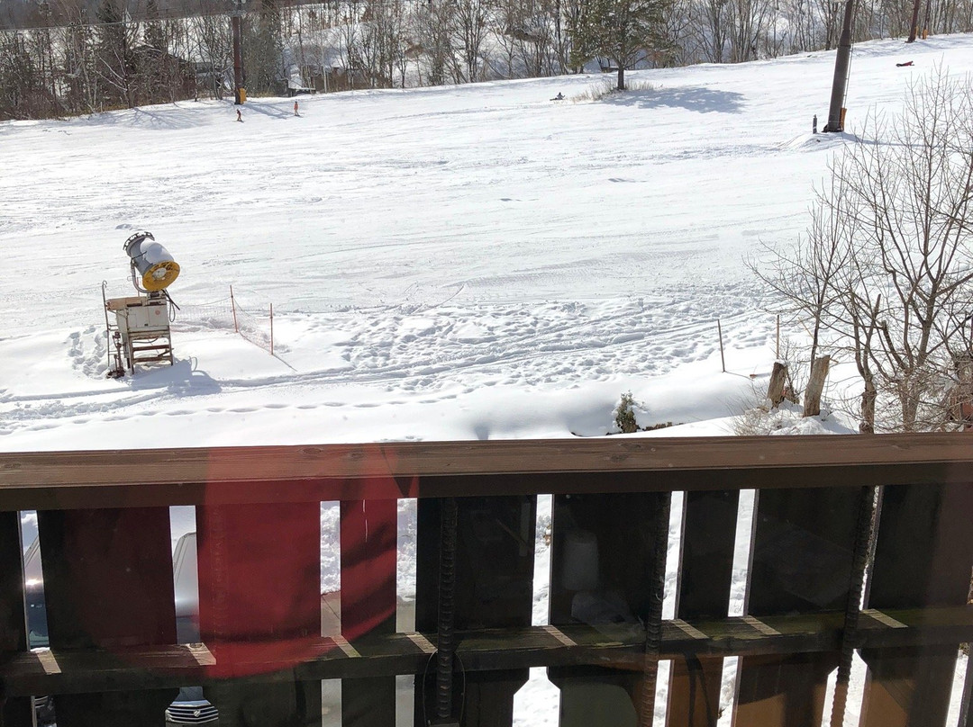 Hotel Hakuba Berghaus主图