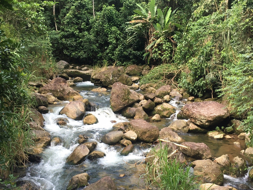 Cachoeira das Andorinhas-Silva Jardim必去景点