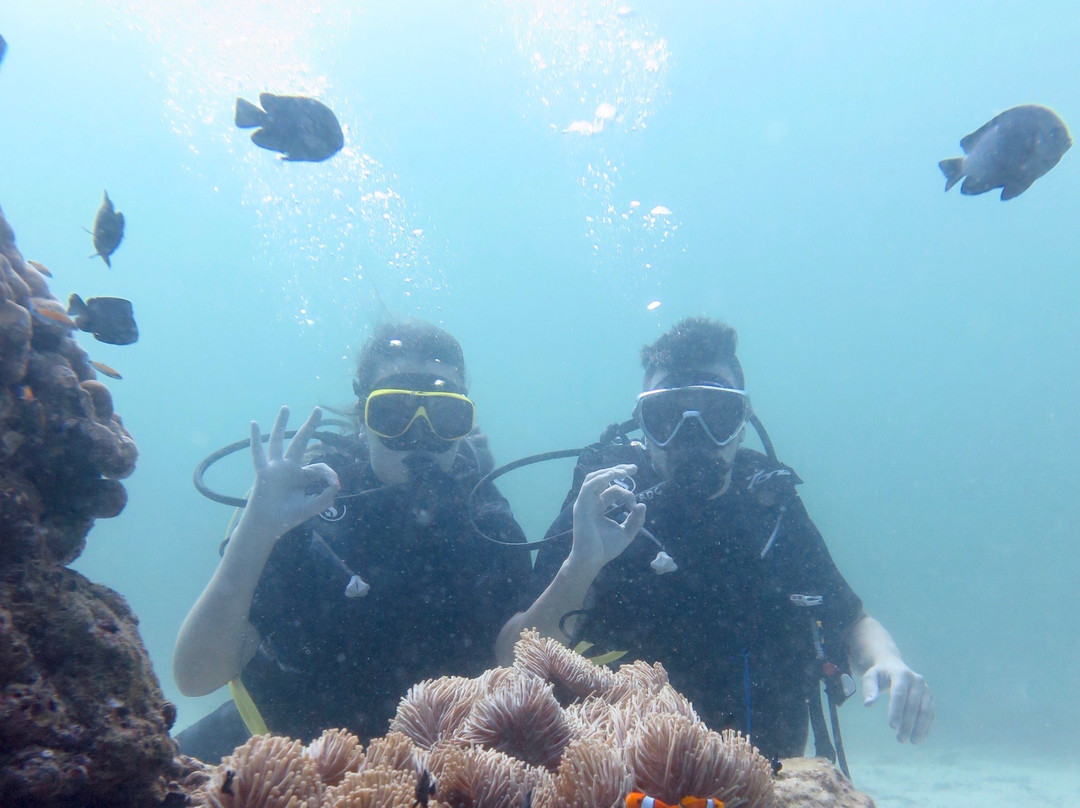 泰国皇帝岛潜水景点图片