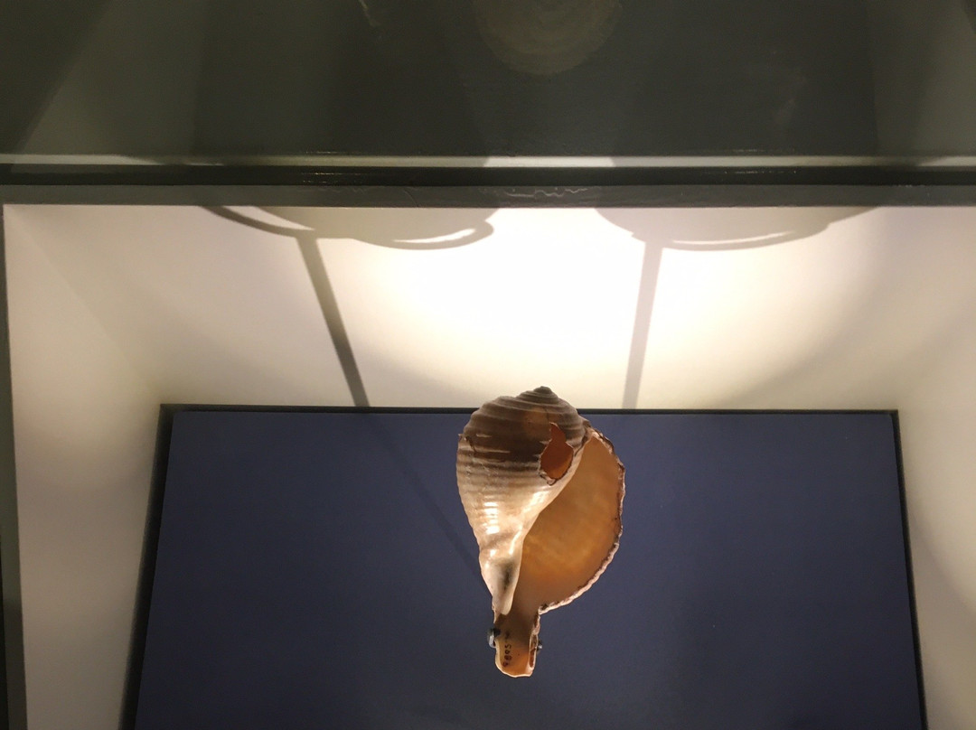 Maritime Museum-沙迦必去景点