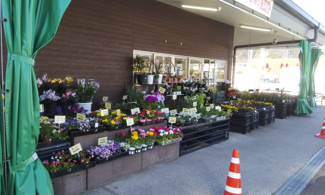 Jinomon Market Hareta-土佐市必去景点