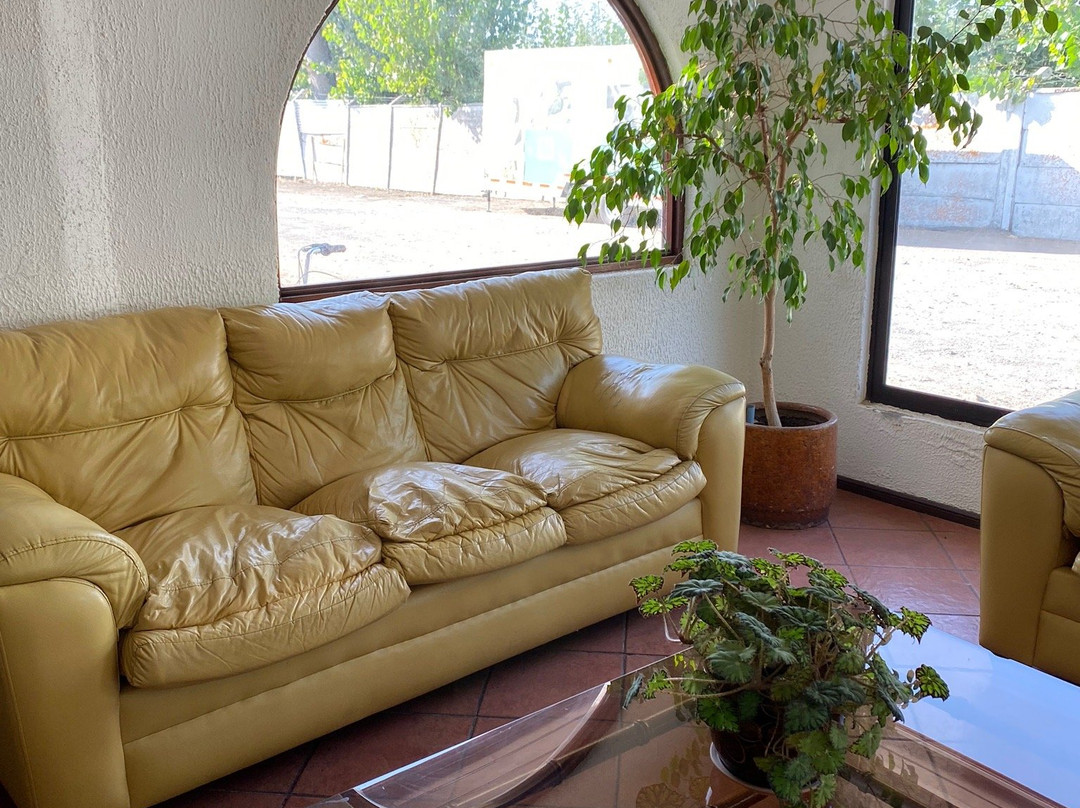 Hotel Alicante主图