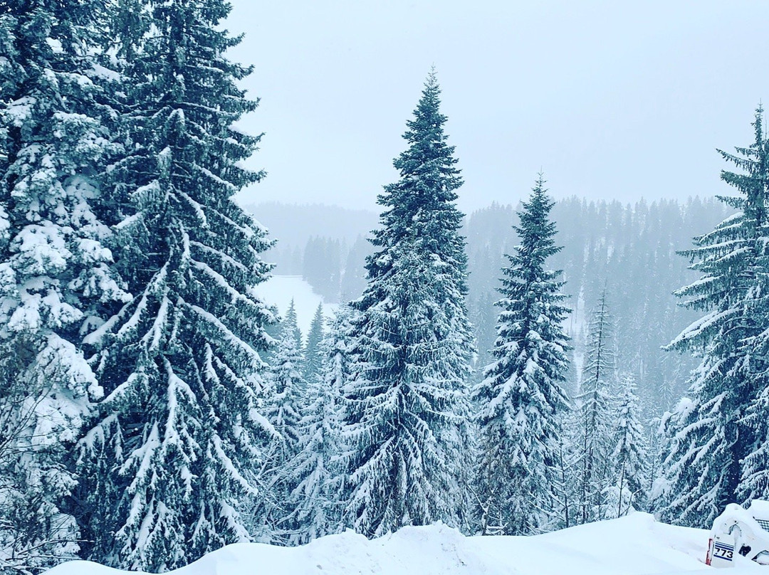 Snezhanka Apartments TMF主图