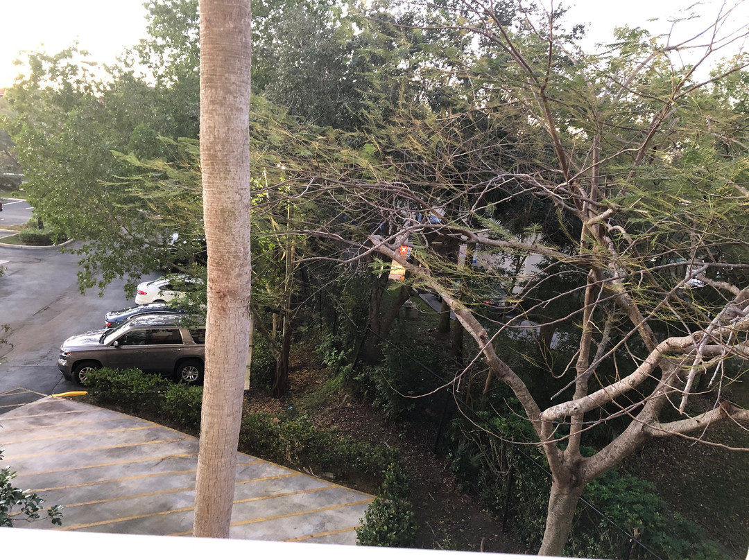 Vacation Village at Weston主图