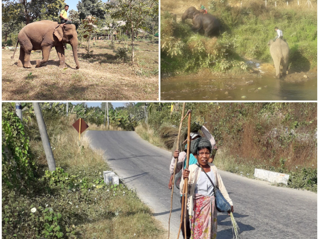 The Mighty Myanmar Travel-仰光必去景点
