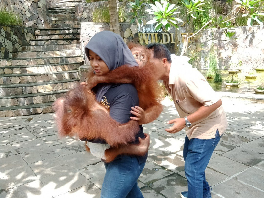 Lombok Wildlife Park-Tanjung必去景点