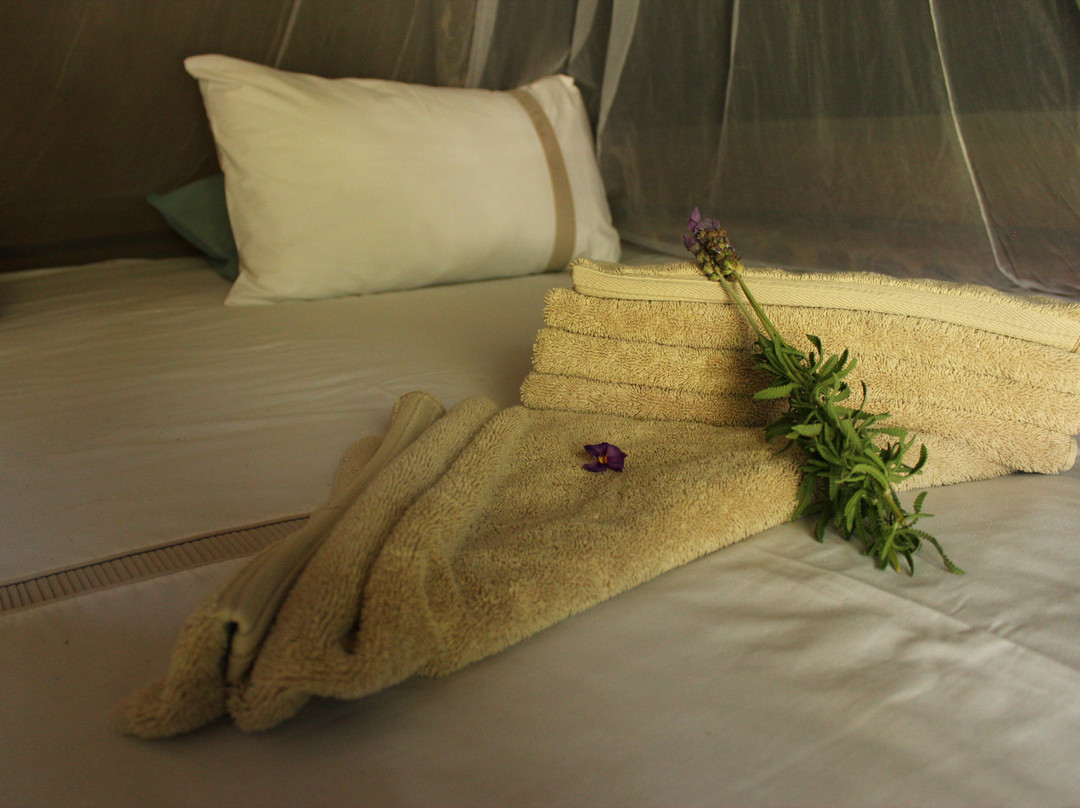 Aloe Bush Game Lodge