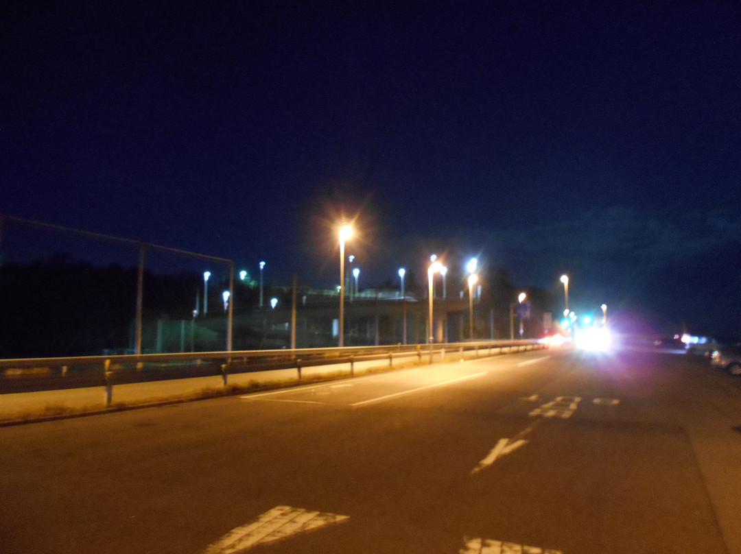 Hamanomiya Road Park-日立市必去景点