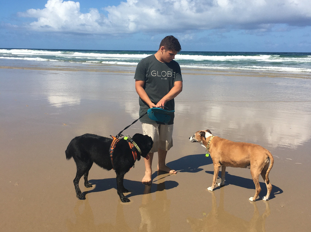 库伦海滩度假村主图