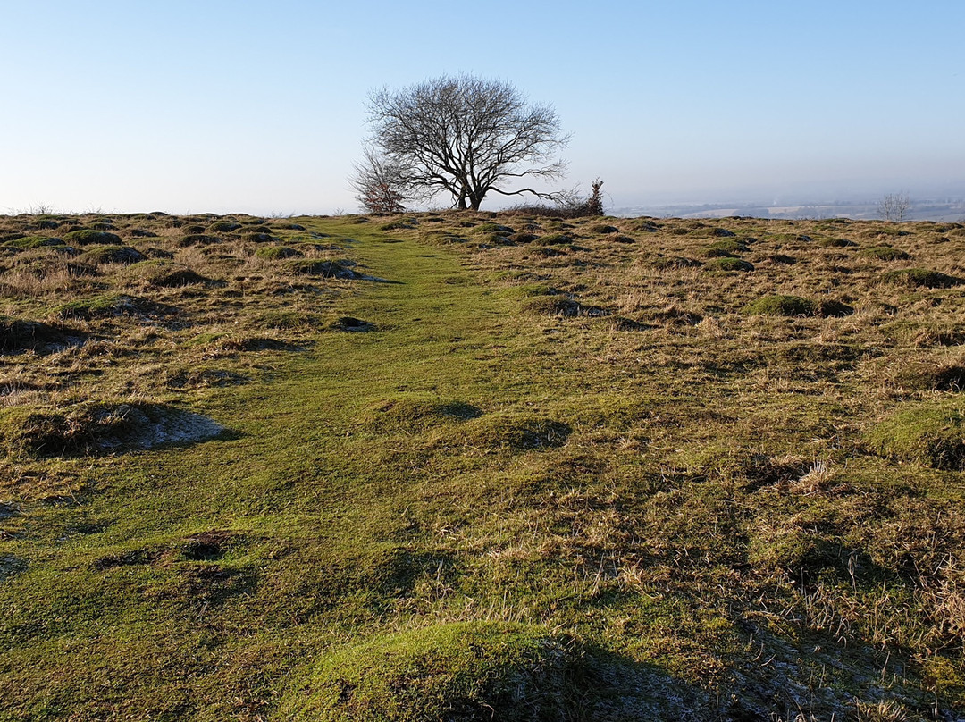 Aston Rowant Discovery Trail景点图片